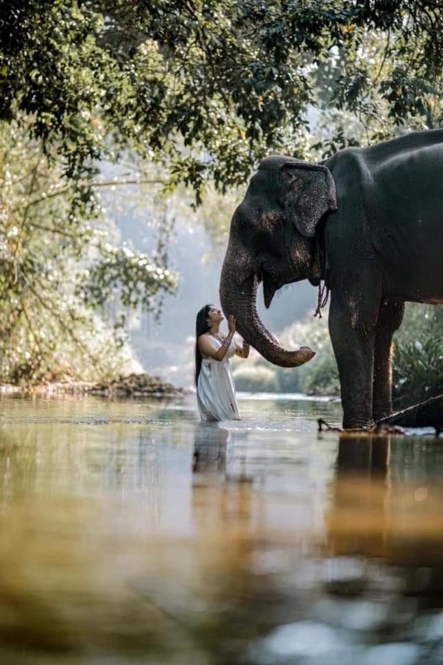 Elephant Park Family Bungalow Udawalawe Kültér fotó