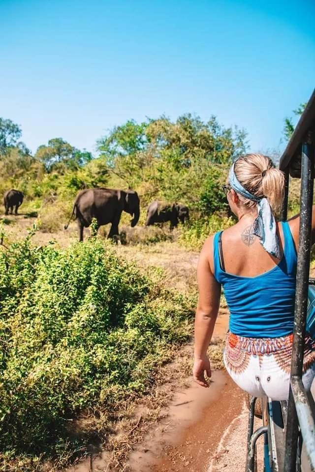 Elephant Park Family Bungalow Udawalawe Kültér fotó